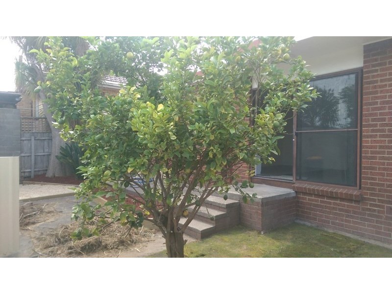 14B Ellendale Road, Noble Park VIC 3174