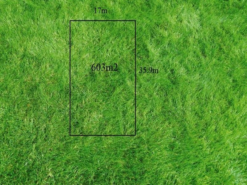 56 Balladonia Gum Circuit, Lyndhurst VIC 3975