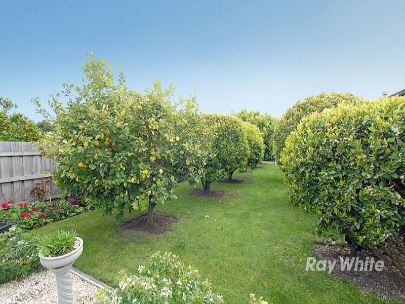 3A Mollison Street, Dandenong North VIC 3175