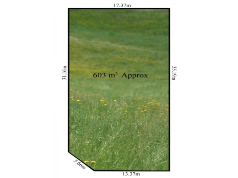 43 Marriott Drive, Keysborough VIC 3173