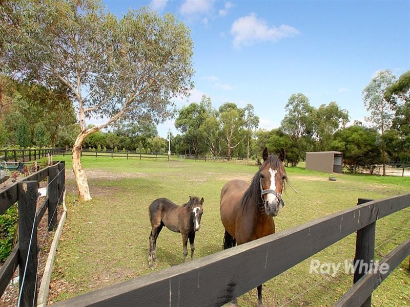 20 Greenpatch Drive, Bangholme VIC 3175