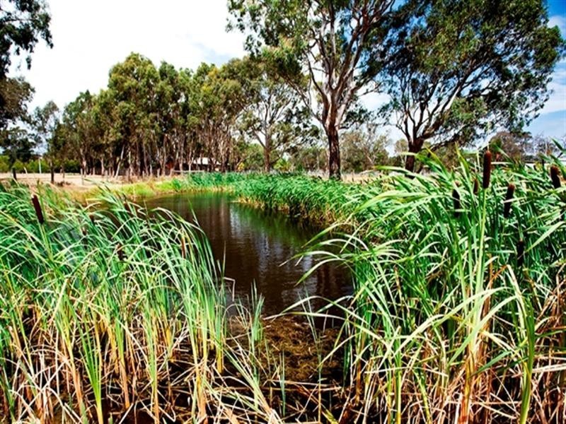 246 Perry Road, Keysborough VIC 3173