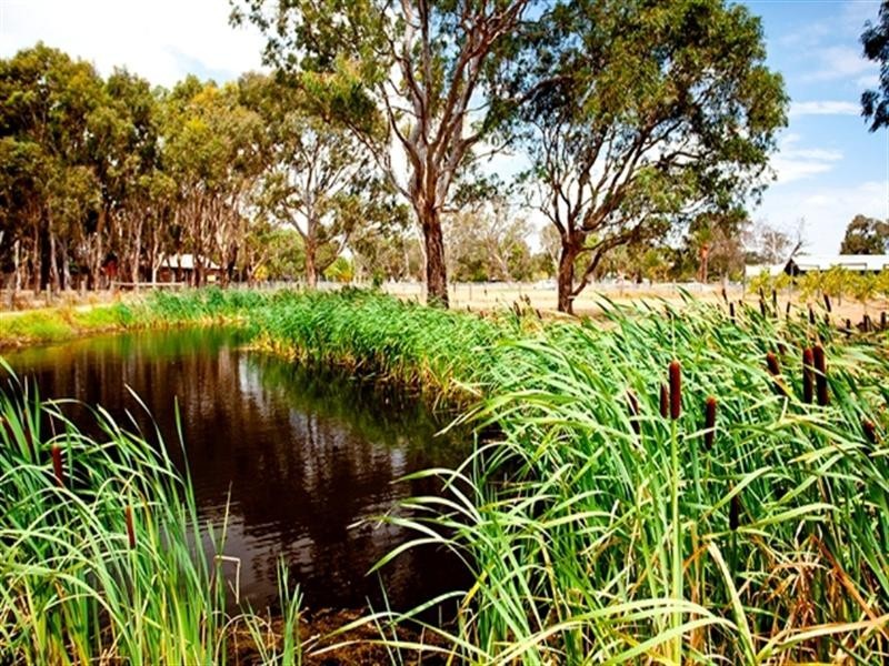 246 Perry Road, Keysborough VIC 3173