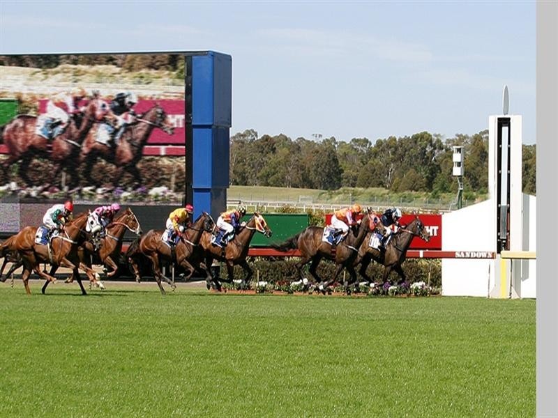 117 Lightwood Road, Noble Park VIC 3174