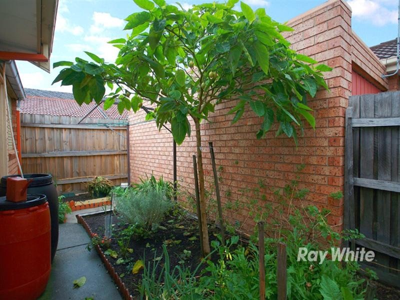 1/10 Frank Street, Noble Park VIC 3174