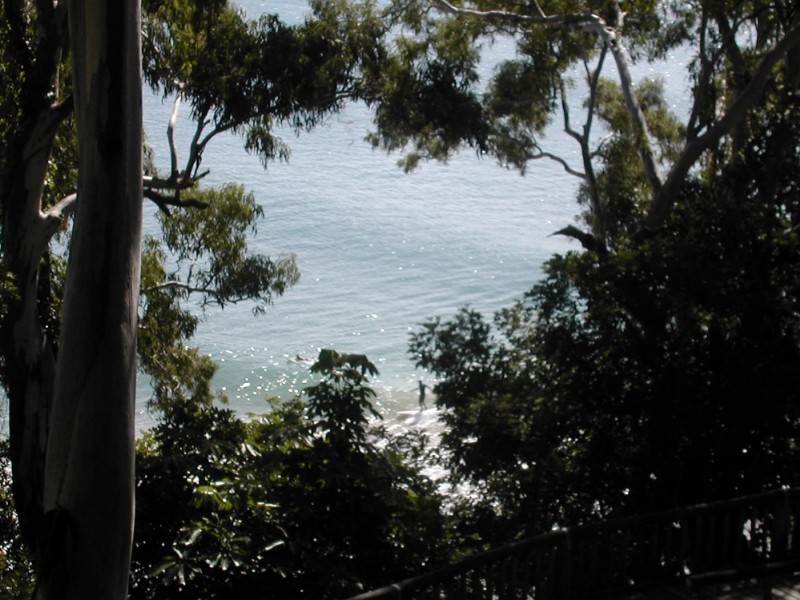 Little Cove QLD 4567