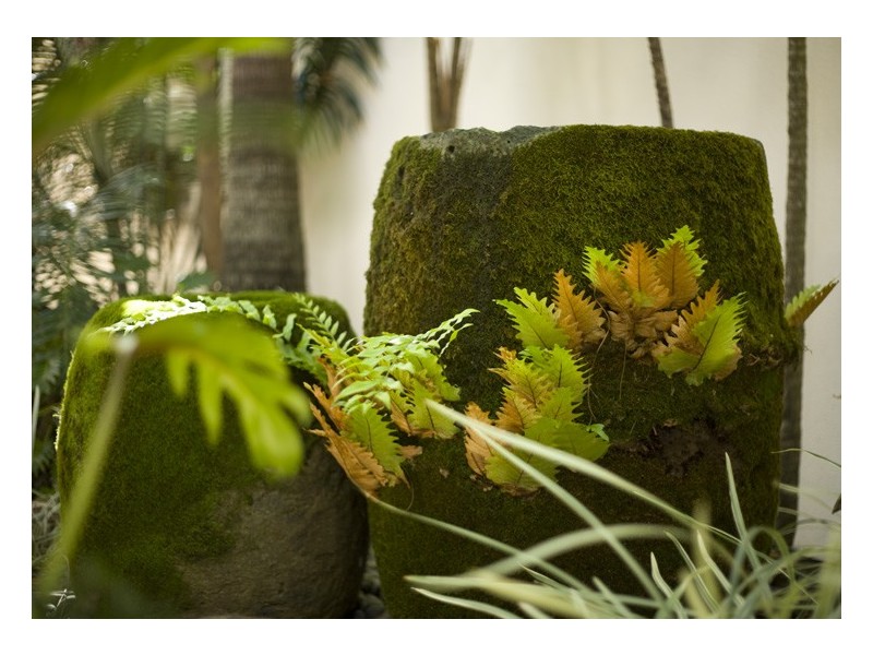 Noosa Heads QLD 4567