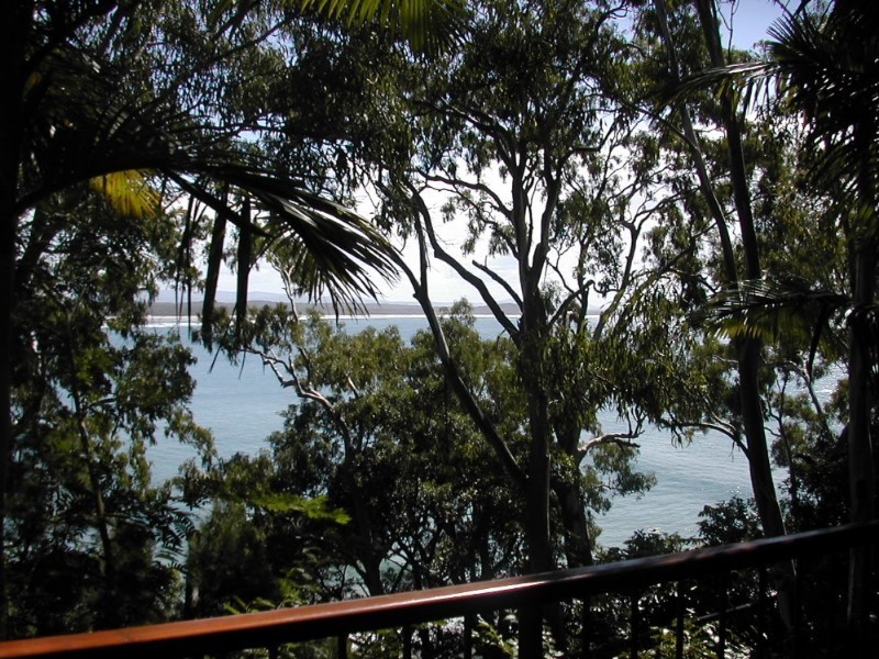 Noosa Heads QLD 4567