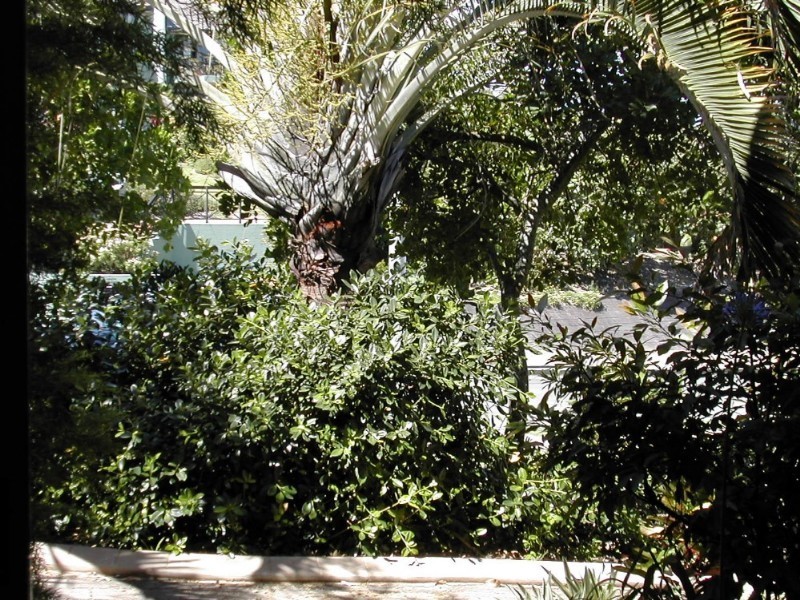 Sunrise Beach QLD 4567