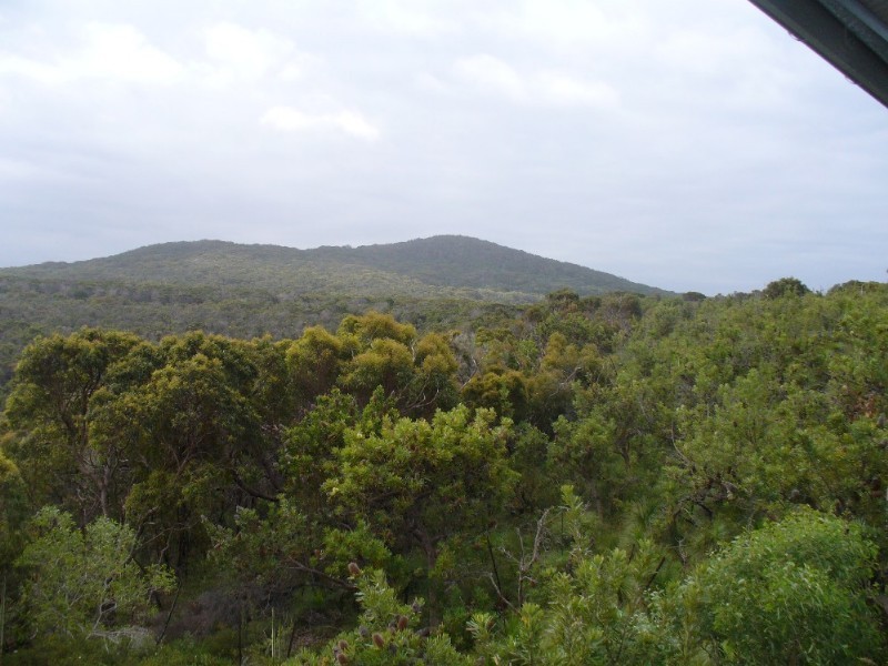 Sunshine Beach QLD 4567