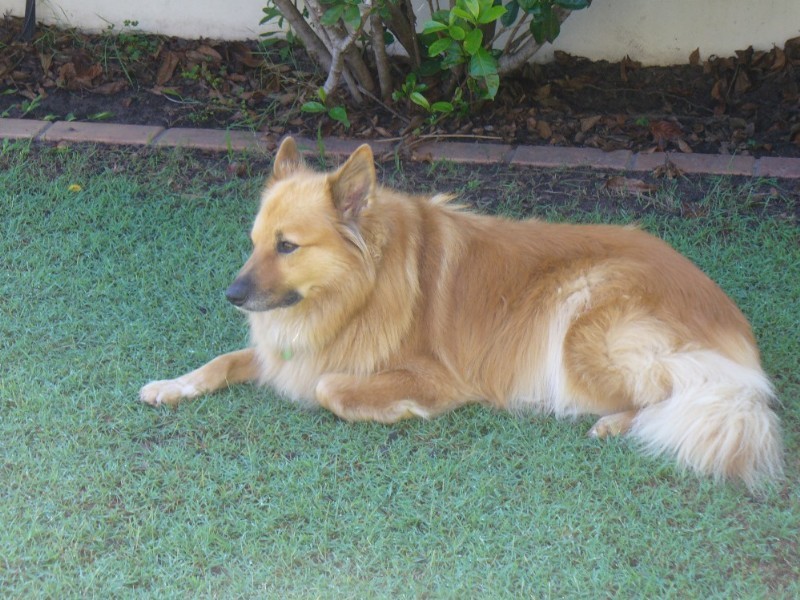 Sunshine Beach QLD 4567