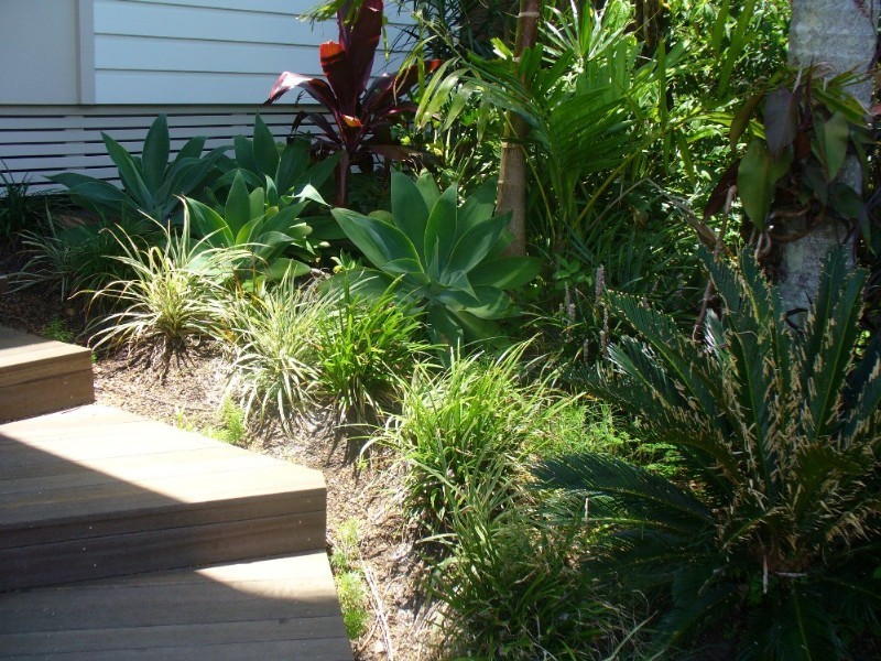 Sunshine Beach QLD 4567