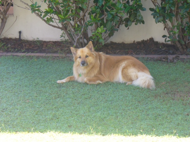 Sunshine Beach QLD 4567