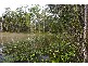 Noosaville QLD 4566