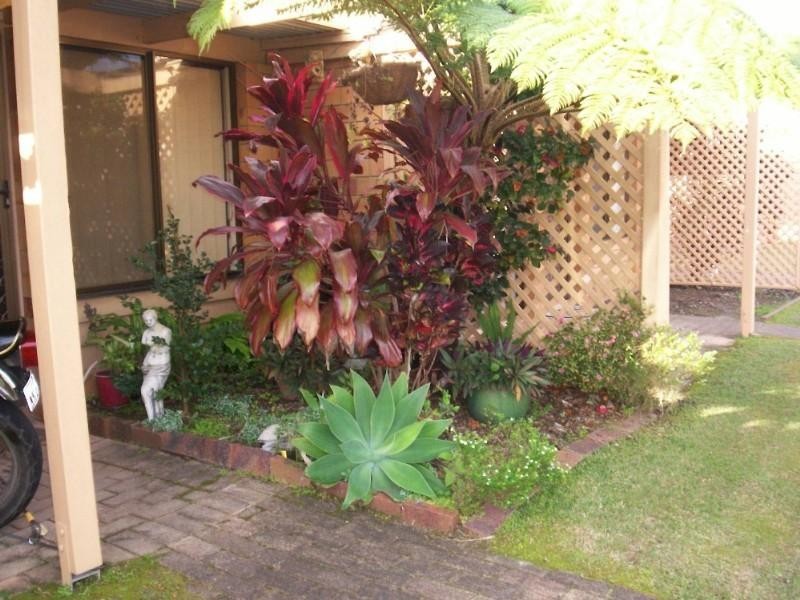 Tewantin QLD 4565
