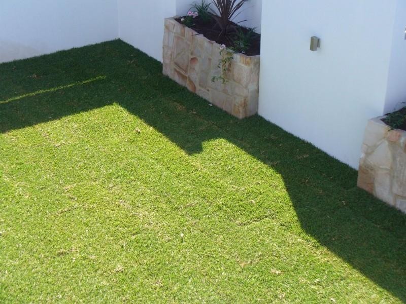 Castaways Beach QLD 4567