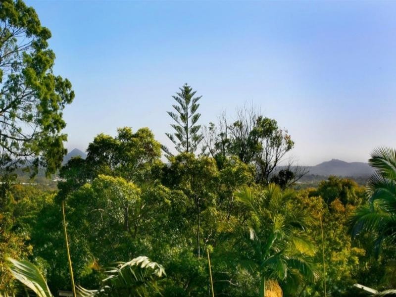 25 Currawong Street, Noosa Heads QLD 4567