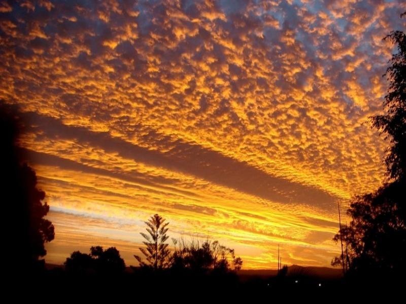 25 Currawong Street, Noosa Heads QLD 4567