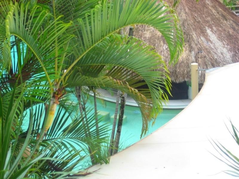 137/1 Edgar Bennett Avenue, Noosa Heads QLD 4567