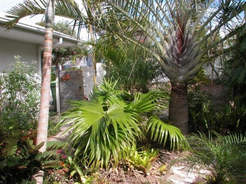 20 Ventura Street, Sunrise Beach QLD 4567