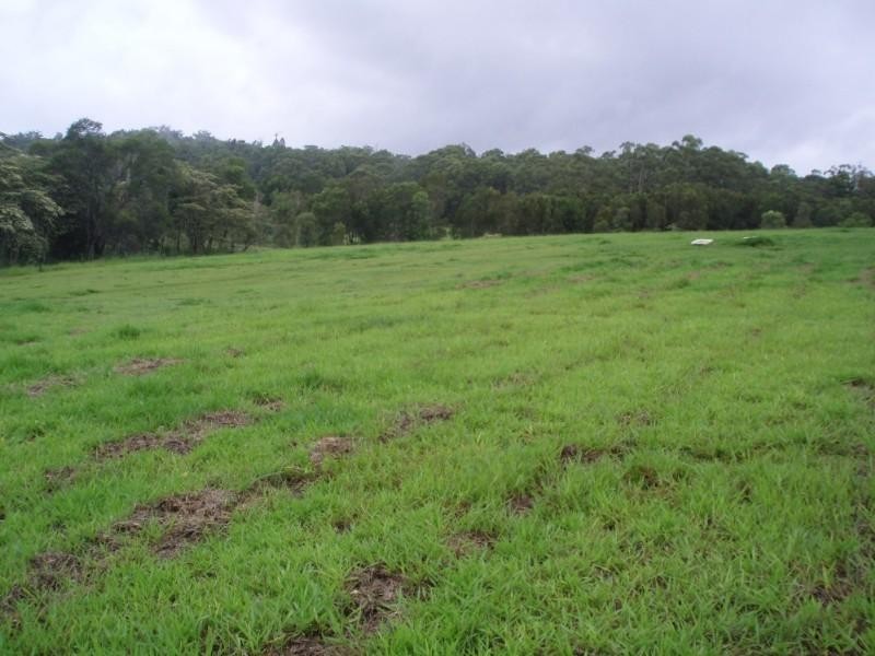 46 Dandaloo Drive, Cootharaba QLD 4565