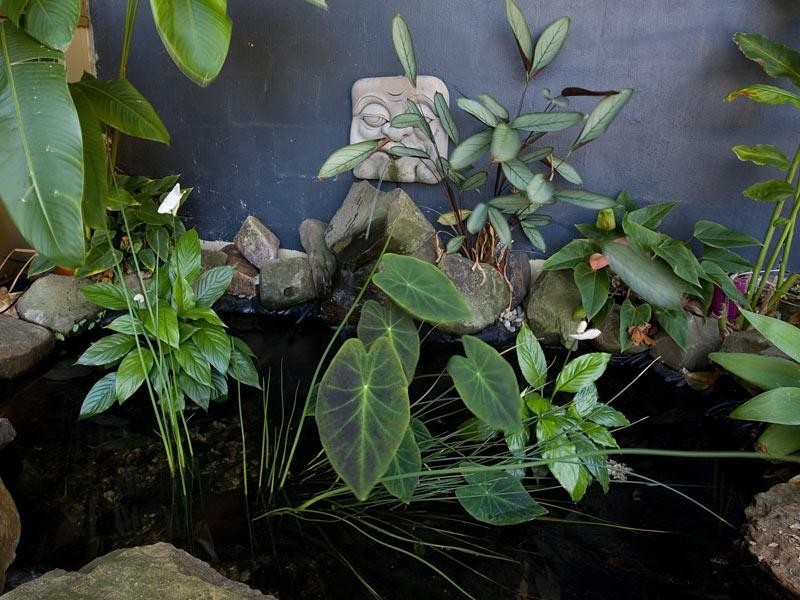 Sunshine Beach QLD 4567