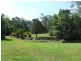 Eumundi QLD 4562