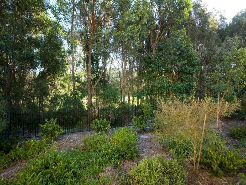 Noosa Heads QLD 4567