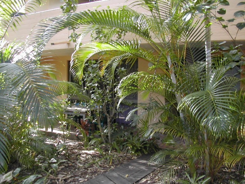 Noosa Heads QLD 4567