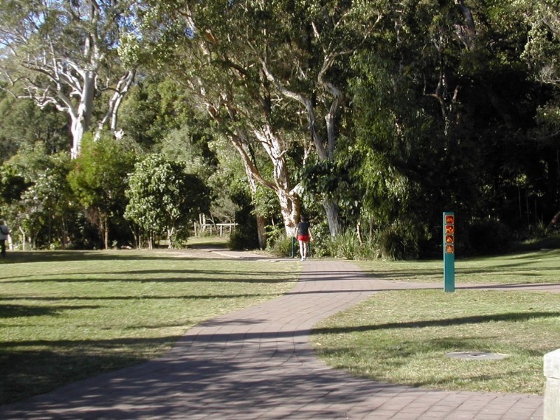 Noosa Heads QLD 4567