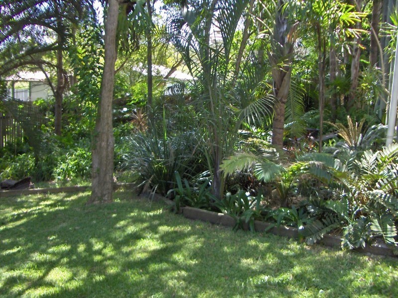 23 Orealla Crescent, Sunrise Beach QLD 4567