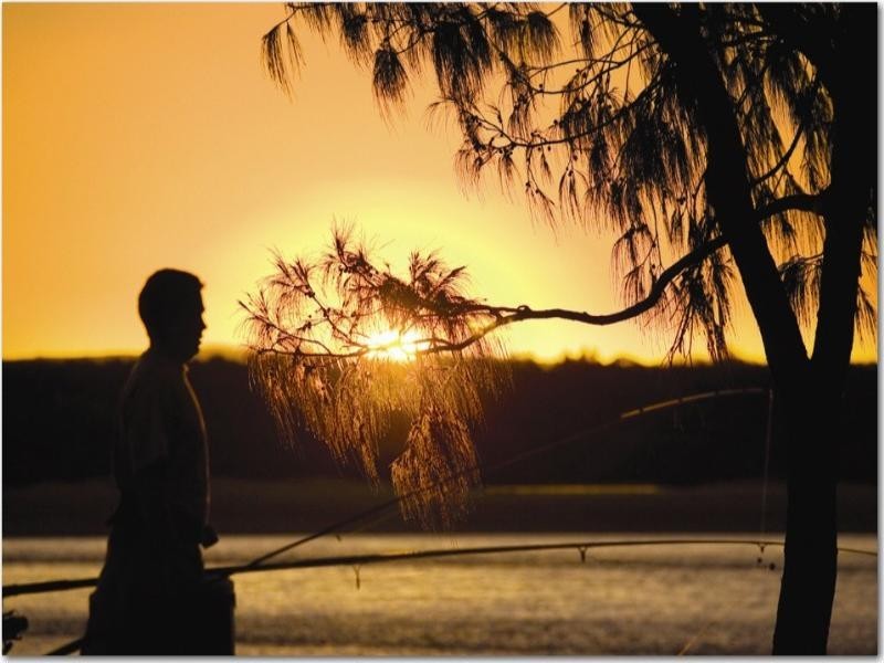 Noosa Heads QLD 4567