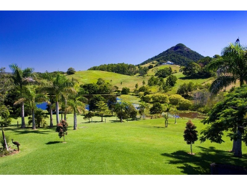 Eumundi QLD 4562