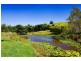 Eumundi QLD 4562