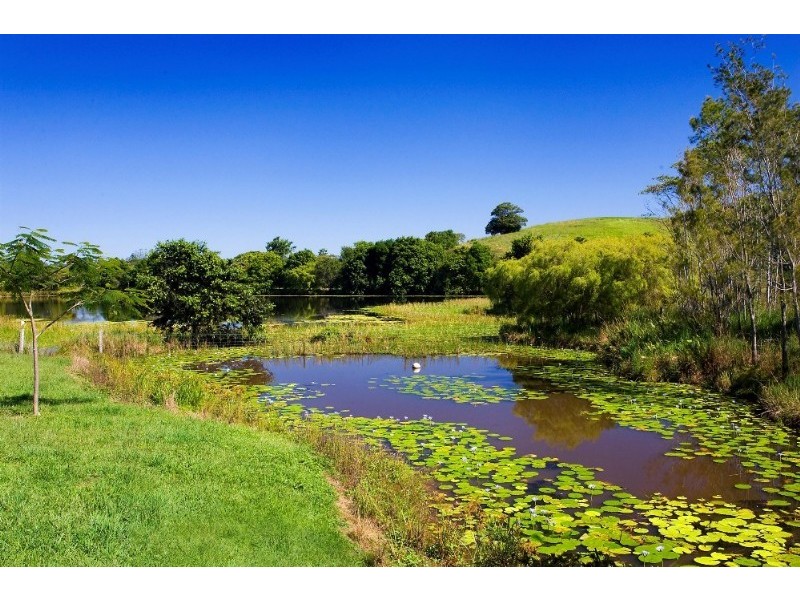 Eumundi QLD 4562