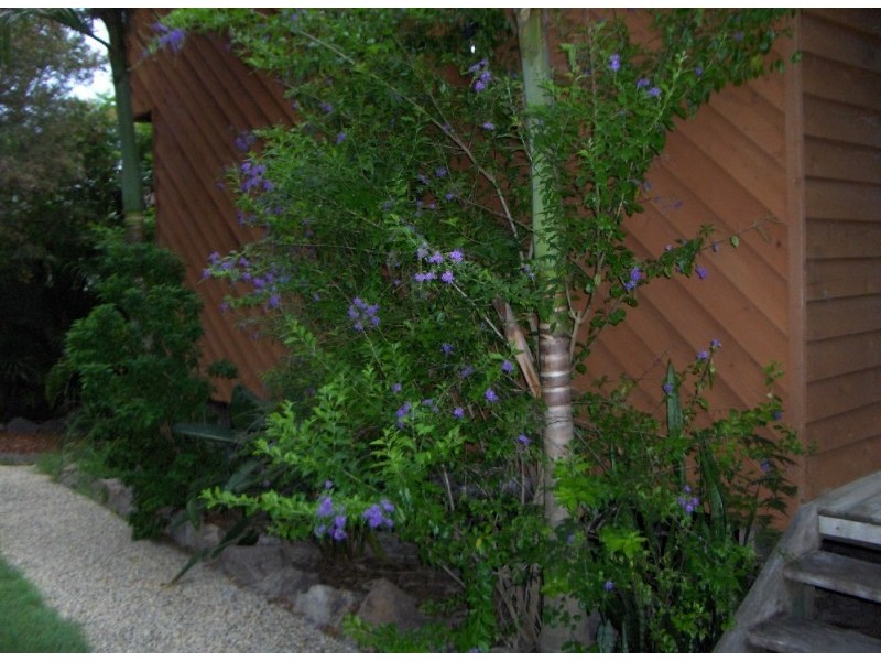 179 Edwards Street, Sunshine Beach QLD 4567