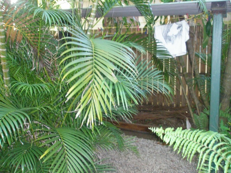 Parramatta Park QLD 4870