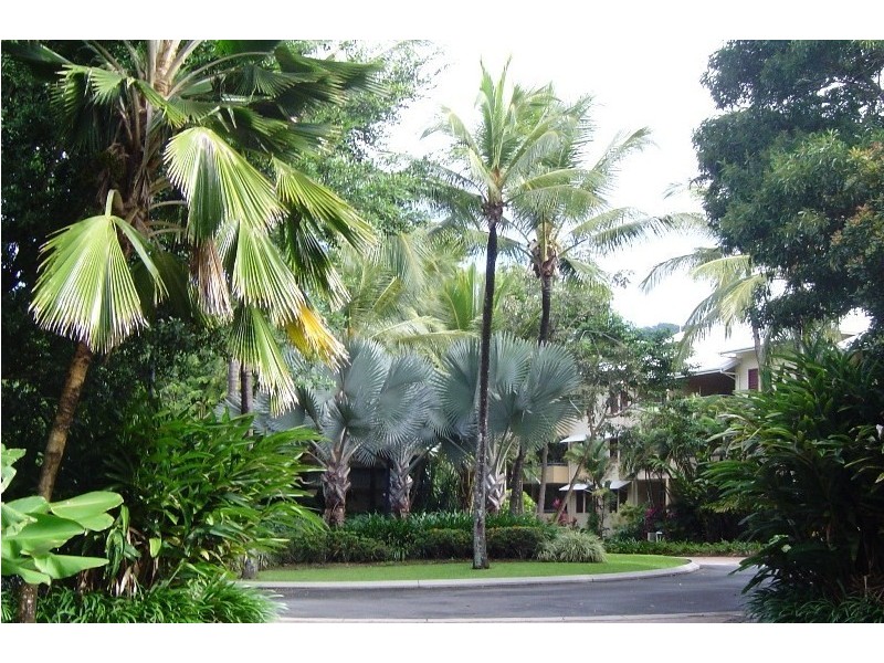 Palm Cove QLD 4879