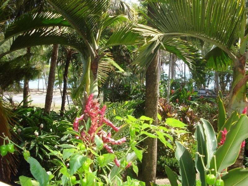 Clifton Beach QLD 4879