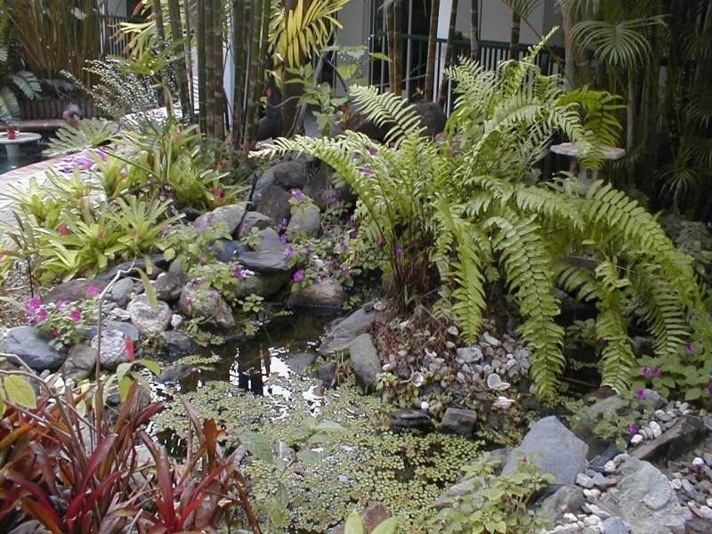 Clifton Beach QLD 4879