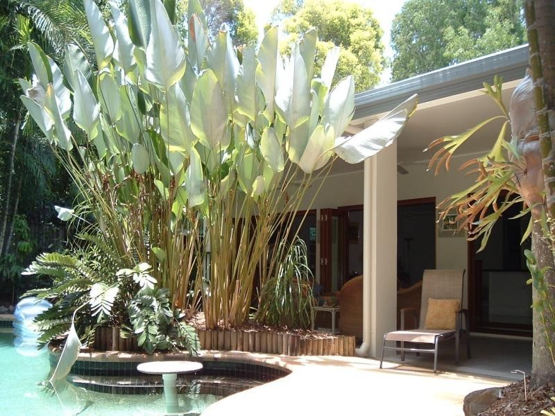 Clifton Beach QLD 4879