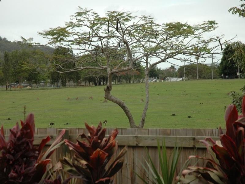 Kewarra Beach QLD 4879