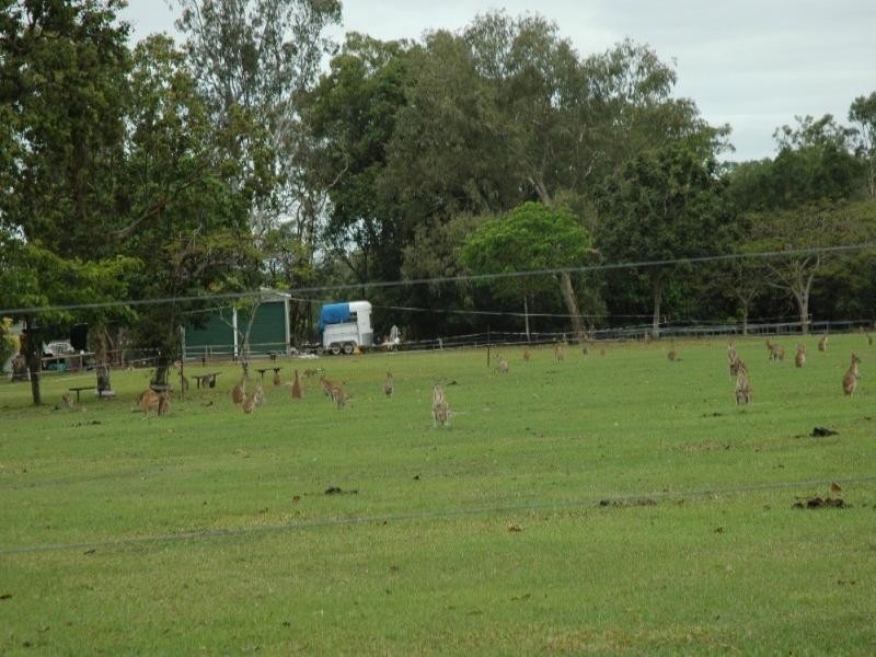Kewarra Beach QLD 4879