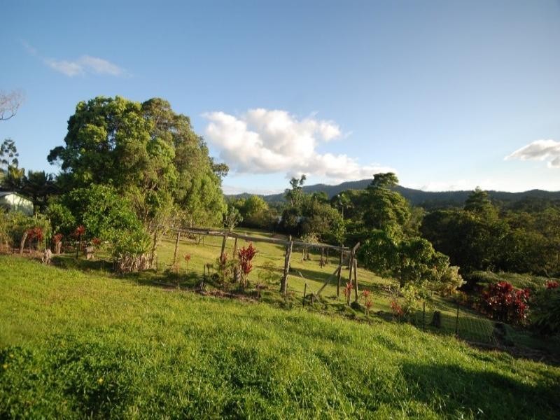 Kuranda QLD 4881