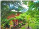 Kuranda QLD 4881