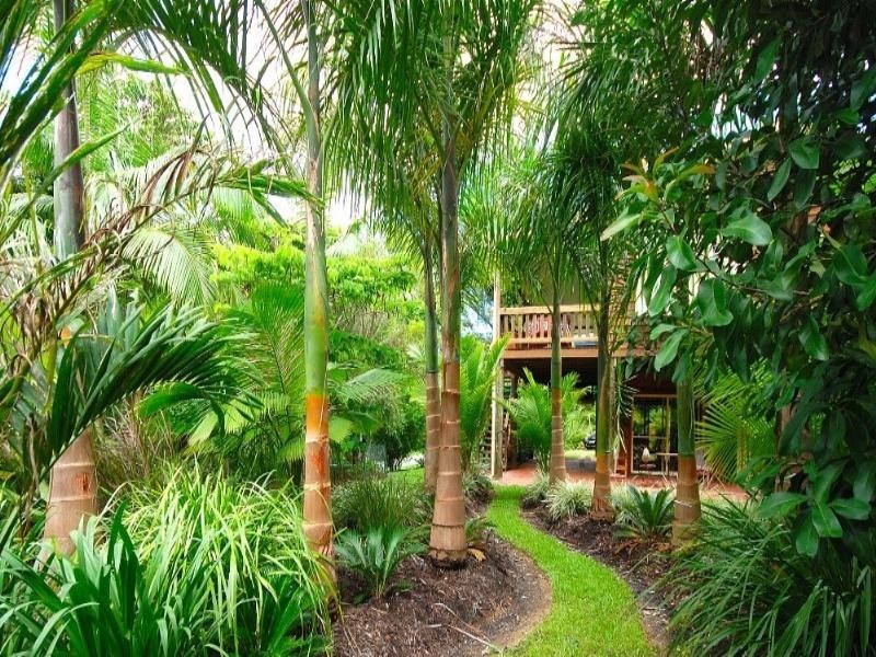 Kuranda QLD 4881