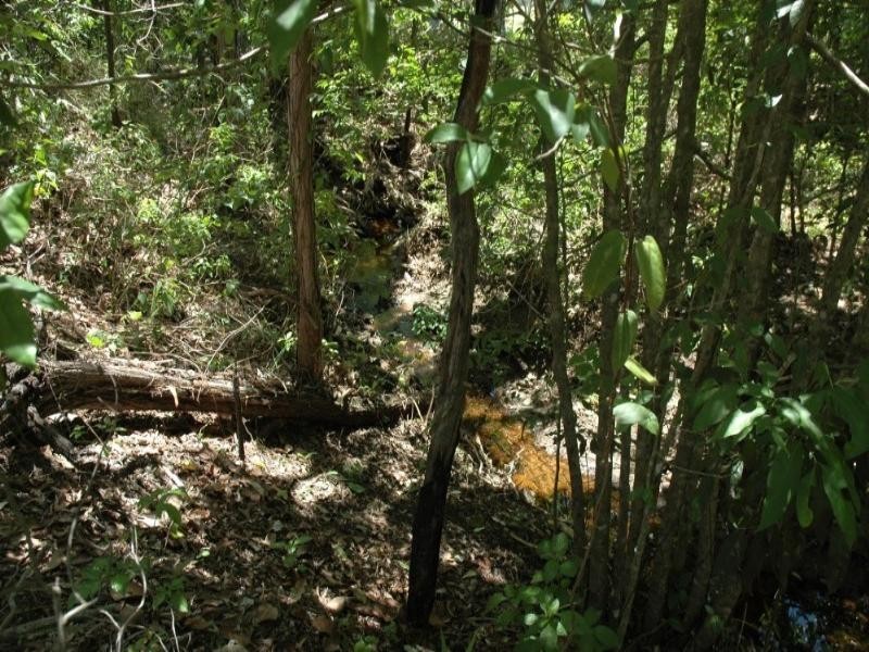 13 Sennfeld Close, Palm Cove QLD 4879