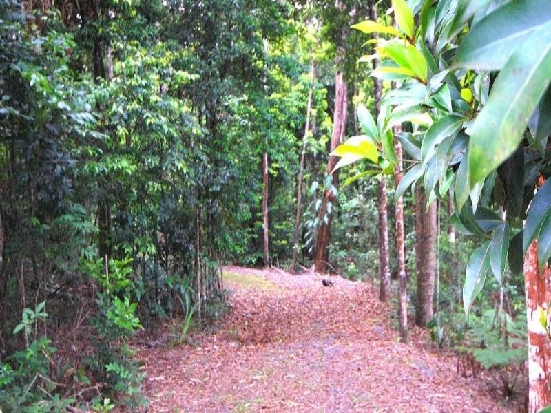 Kuranda QLD 4881