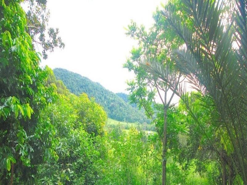 Port Douglas QLD 4877