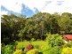 Kuranda QLD 4881